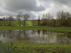 Carnieres-rue-de-la-case