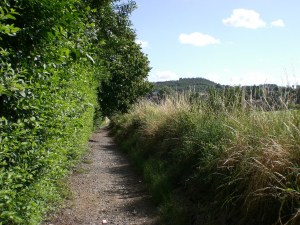 sentier-haute-haine-photo
