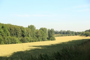 sentier-haute-haine-photo