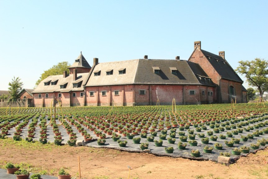 sentier-haute-haine-photo