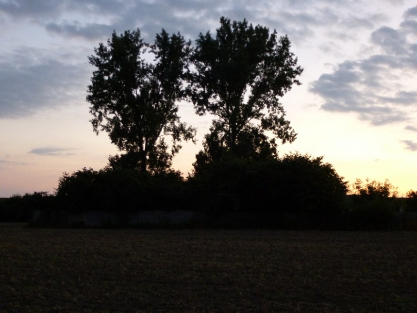 Mont-Sainte-Aldegonde