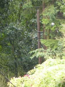 Carnieres-ruelle-tison