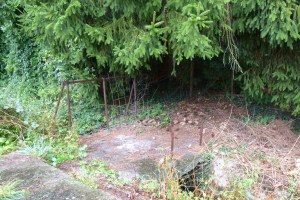 Carnieres-ruelle-tison