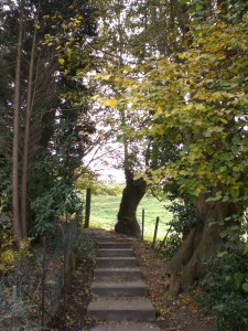 sentiers-de-la-haute-haine-photos