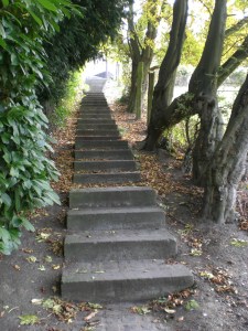 sentiers-de-la-haute-haine-photo