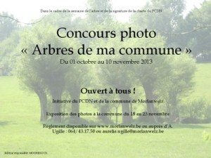 Concours-photo- pcdn-morlanwelz