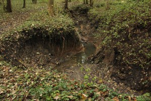 sentiers-de-la-haute-haine