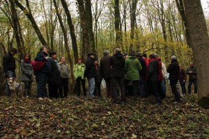 sentiers-de-la-haute-haine