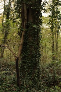 sentiers-de-la-haute-haine