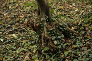 sentiers-de-la-haute-haine