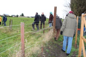 sentiers-de-la-haute-haine-photo
