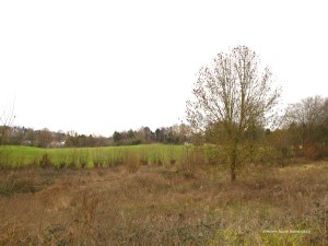 sentiers-de-la-haute-haine