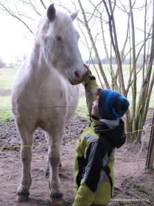 sentier-de-la-haute-haine