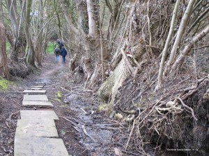 sentiers-de-la-haute-haine