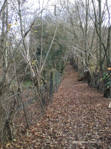 sentiers-haute-haine-photo