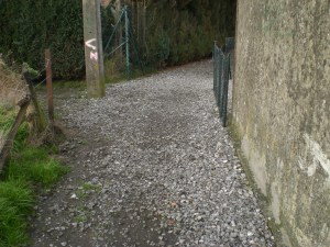 sentiers-de-la-haute-haine-160314