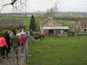 Ruelle Mont-Sainte-Aldegonde
