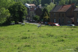 Sentiers de la Haute Haine