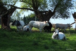 Sentiers de la Haute Haine