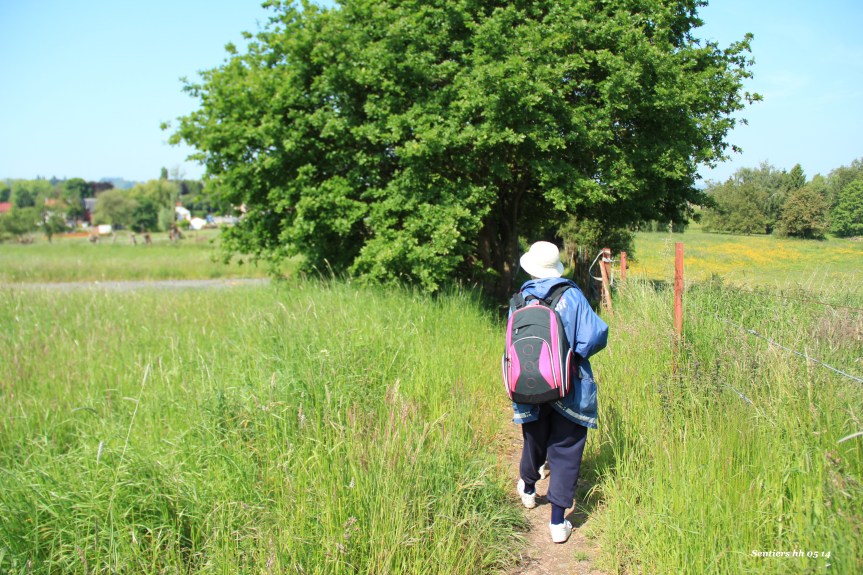 Sentiers de la Haute Haine