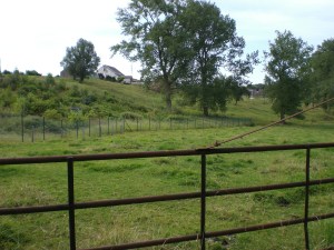 Sentiers-de-la-Haute-Haine-Carnières