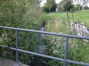 Sentiers-de-la-Haute-Haine-Carnières