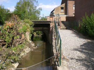 Sentiers-de-la-Haute-Haine-Carnières