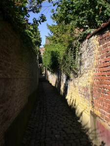 Sentiers-de-la-Haute-Haine-Carnières