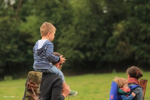 Sentiers-de-la-haute-haine-balades