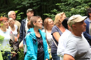 Carnières-Anderlues-Pieton