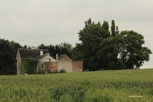 Sentiers-de-la-haute-Haine-balades