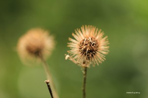 Sentiers-de-la-haute-haine