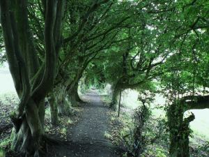 Sentier-de-la-haute-haine-carnieres