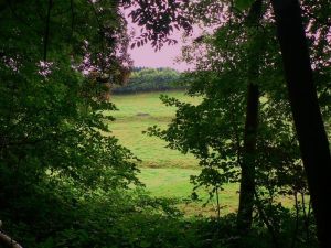 Carnieres-balades-SHH