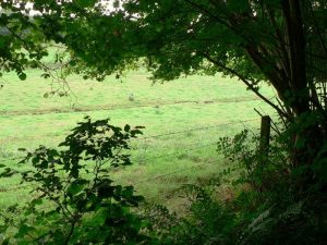 Carnieres-balades-SHH