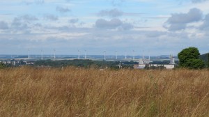 Mont-Sainte-Aldegonde-2014