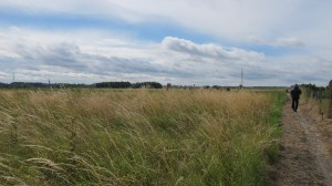 Mont-Sainte-Aldegonde-2014