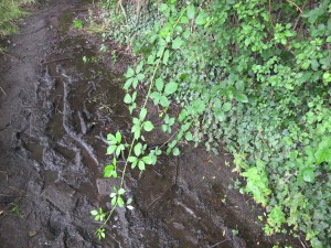 Circuit des 3 villages