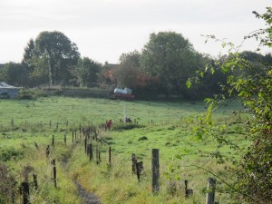 Circuit des 3 village balisage