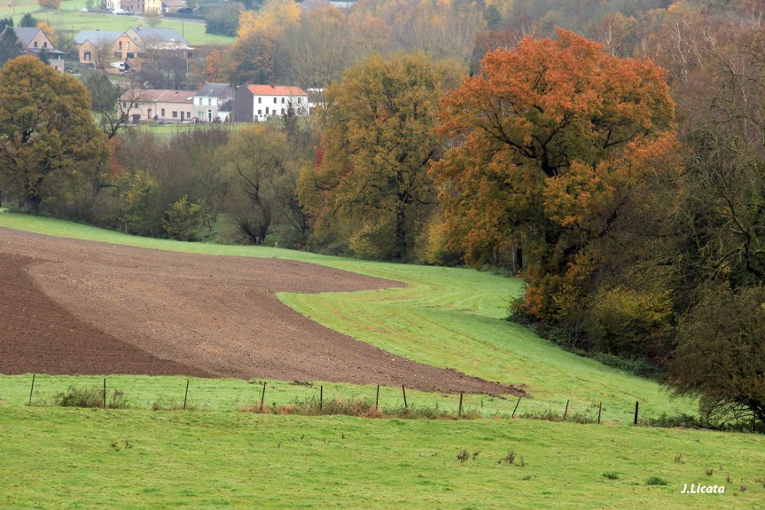 Sentiers-de-la-Haute-Haine-Photo