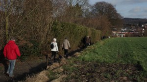Sentiers de la Haute Haine