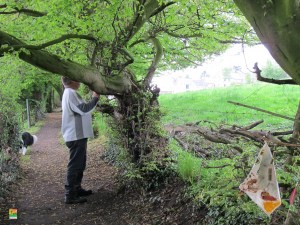 Circuit des 3 villages Morlanwelz