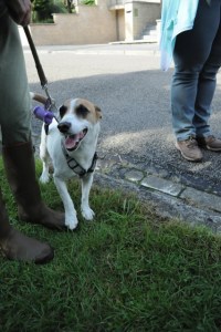 Carnières Bois des Vallées
