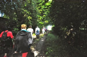 Carnières Bois des Vallées