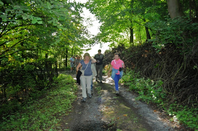 Carnières Bois des Vallées