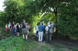 Carnières Bois des Vallées