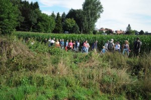 Carnières Bois des Vallées