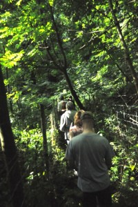 Carnières Bois des Vallées