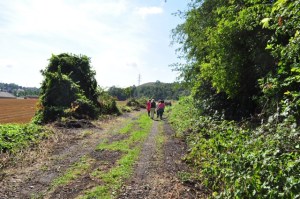 Carnières Bois des Vallées