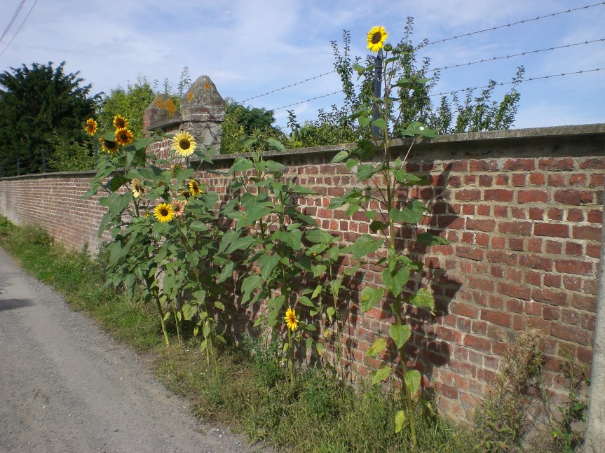 Sentiers de la Haute Haine Balade